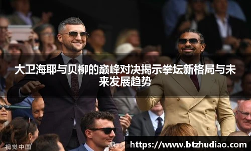 大卫海耶与贝柳的巅峰对决揭示拳坛新格局与未来发展趋势